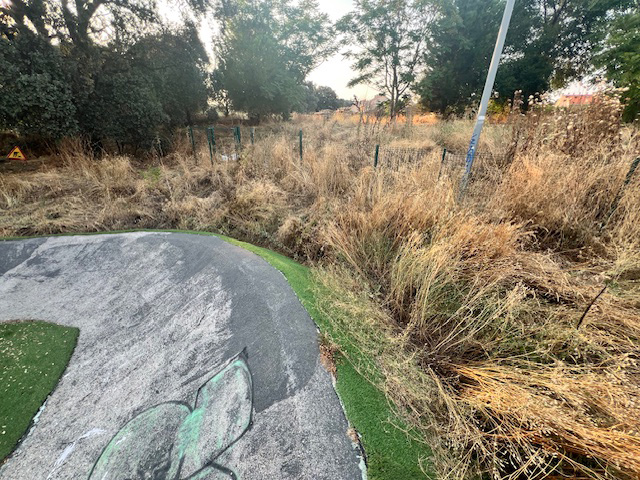 Ruinas y Contradicciones en el Pump&nbsp;Track