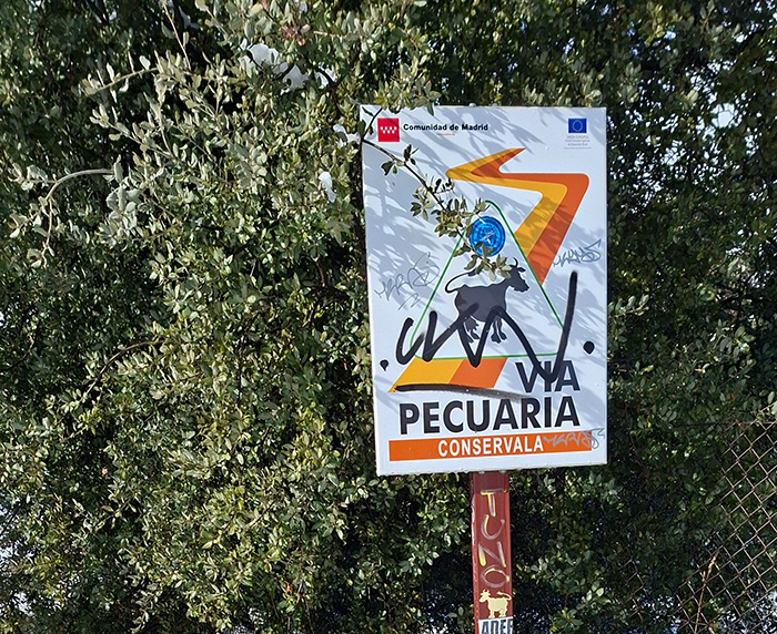 El Ayuntamiento es multado por la CAM con 15.000 por infracción medioambiental